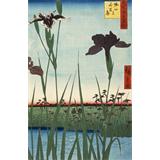 Horikiri Iris Garden