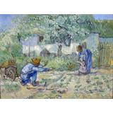 Primeros pasos, después del mijo