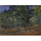 El roble de Bodmer , Fontainebleau, 1865