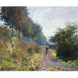 El Camino Protegido , 1873