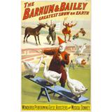 Barnum & Bailey, payasos y gansos
