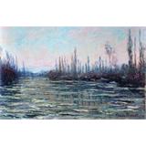 Hielo flotante , 1882