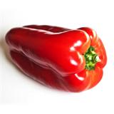 Alimento, pimiento