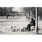 París Jardín des Tuileries