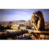 Paris vista panorámica gárgola 2