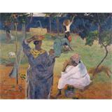 Entre los mangos y Martinique