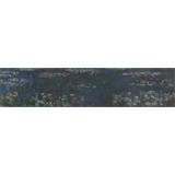 Los lirios de agua - Reflexiones verdes