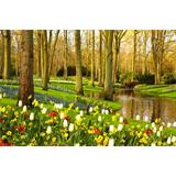 Jardín Keukenhof de Amsterdam