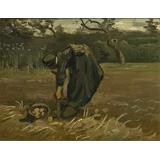 Mujer campesina , patatas de cosecha