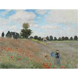 Poppies Near Argenteuil, 1873
