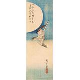 Cuco volando bajo la luna llena