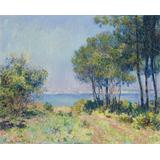 Los abetos de Varengeville , 1882