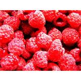 Fruta, moras