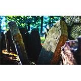 Cementerio judío en Praga