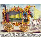 Calíope, la maravillosa Operonicon o vapor del coche de las musas