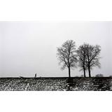 Copenhague blanco y negro