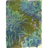 Path through the Irises 02, 1914-17