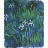 Lirios , 1914-1917 01