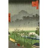 Paulownia plantación en Akasaka durante la noche lluviosa