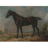 De Golding Constable Negro Riding Horse