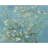 Almendro en flor al cielo