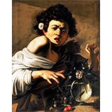 Muchacho mordido por un lagarto