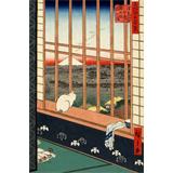 Campos de arroz de Asakusa y el festival Torinomachi