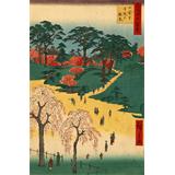Vista de Hiroshige cerca Ueno-  llanto de cerezo en el primer plano