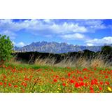 Cataluña vista de Montserrat