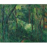 Interior de un bosque