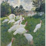 Los pavos de 1876