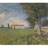 Cortijo en un campo de maíz