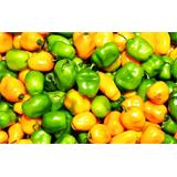 Verdura, pimientos