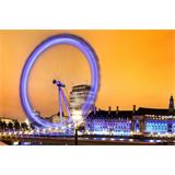 Ojo de Londres morado