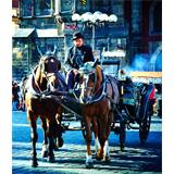 Imagen típica Stare Mesto de Praga