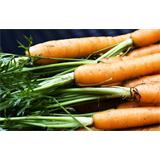 Alimento, zanahorias