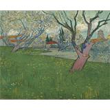 Huerta en el flor , Vista de Arles