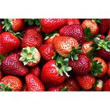 Fruta, crisol de fresas