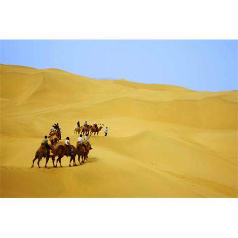 Desierto de Mongolia