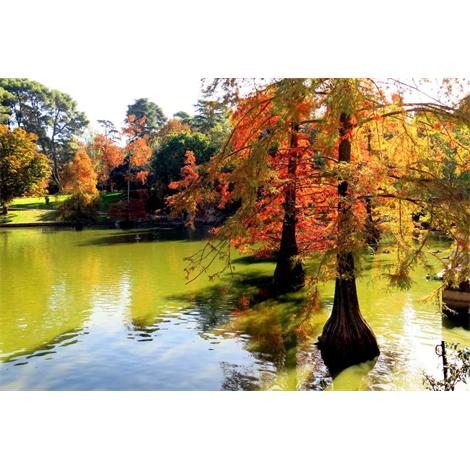 Madrid una mañana de otoño en El Retiro