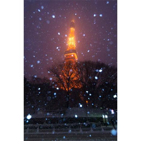 Torre de Tokio nevada