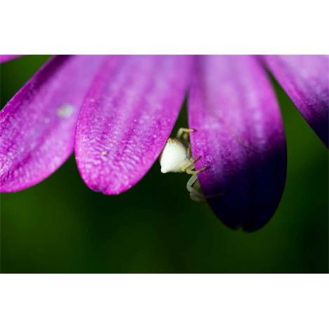 Enredando por detrás