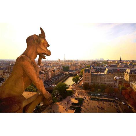 Paris vista panorámica gárgola