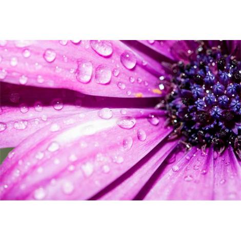 Macro con gotas