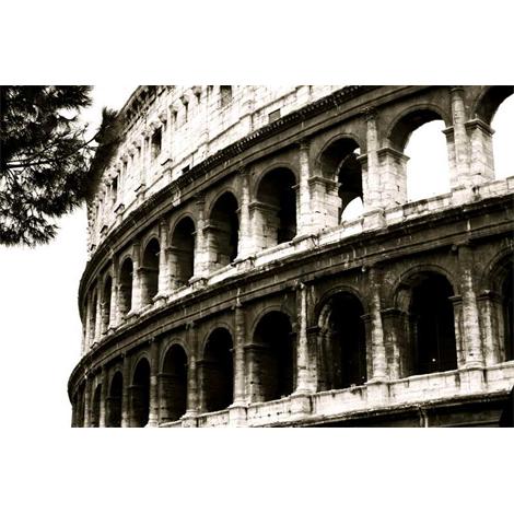 Coliseo de Roma den blanco y negro
