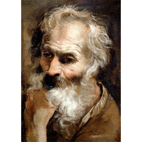 Cabeza de un viejo hombre