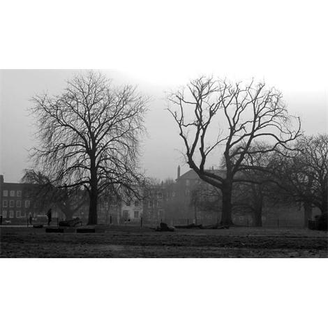 Londres parque Clissold con niebla en blanco y negro