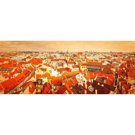 Bonita vista de la ciudad de Praga