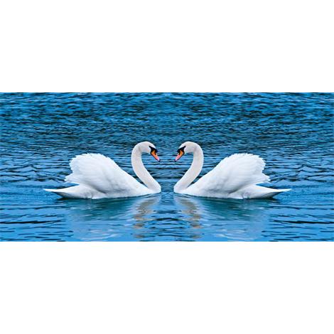 Cisnes corazon