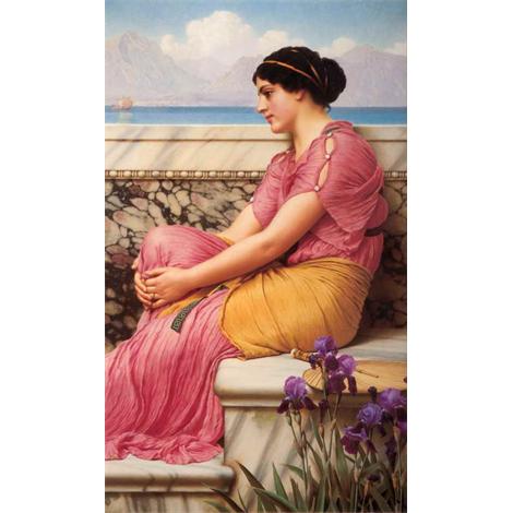 La ausencia hace crecer el cariño 